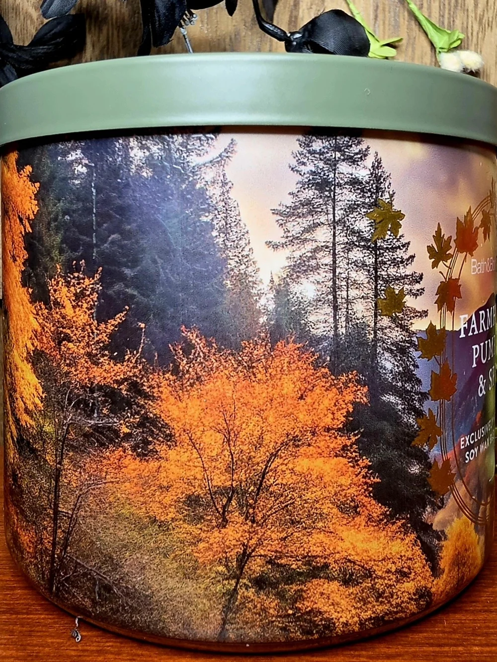 Bath & Body Works Farmhouse Pumpkin & Spice Soy Candle - Green
